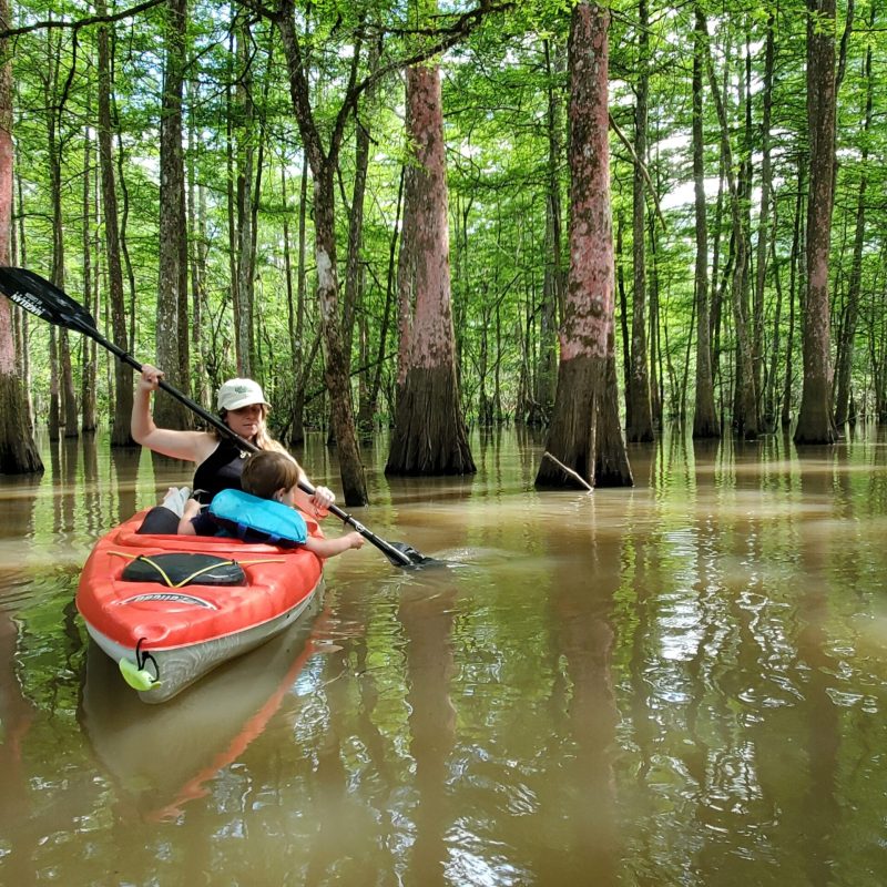 a person riding on the back of a boat in the water