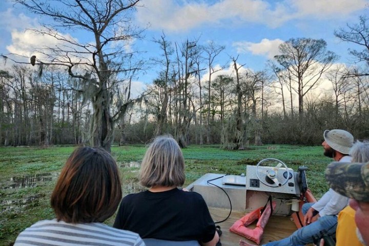 a group of people in a park