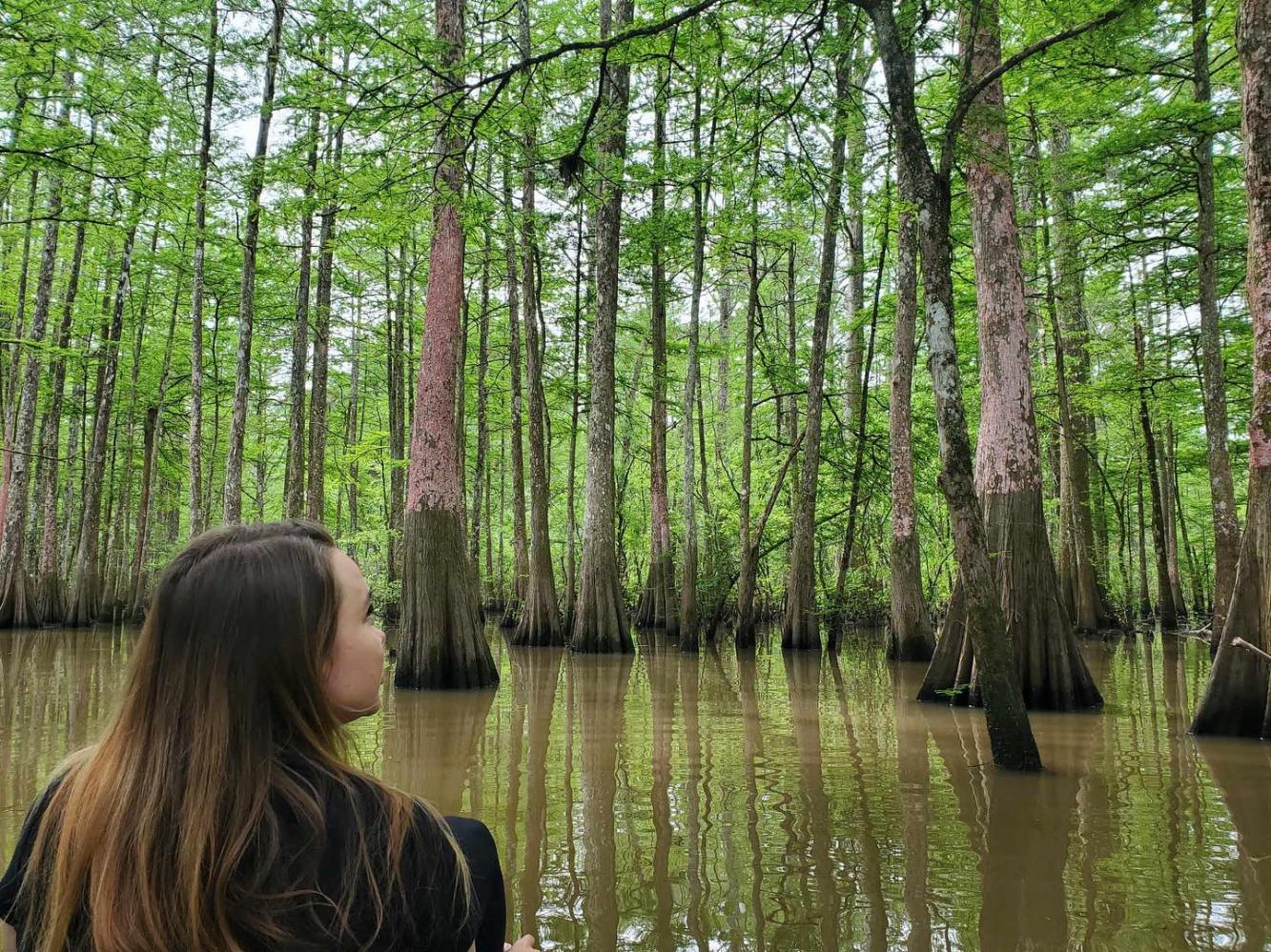 a person standing in front of a forest