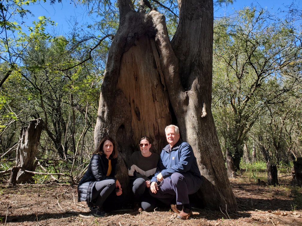 2CB853BB-8886-482D-BC0B-E690EFCDF7B1 a group of people sitting in a tree