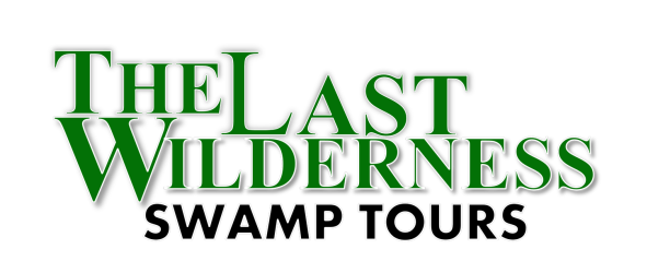 lastwildernesstours