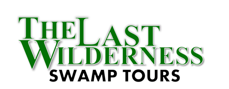 The Last Wilderness Tours