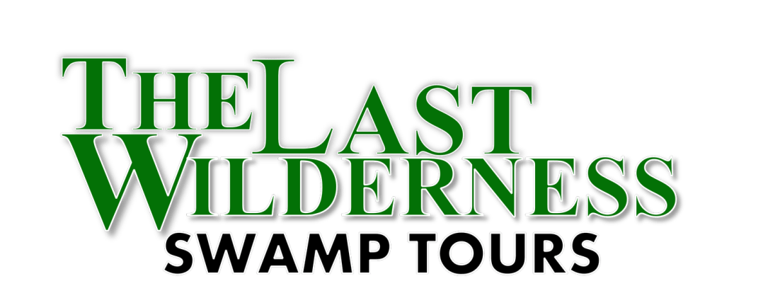 The Last Wilderness Tours