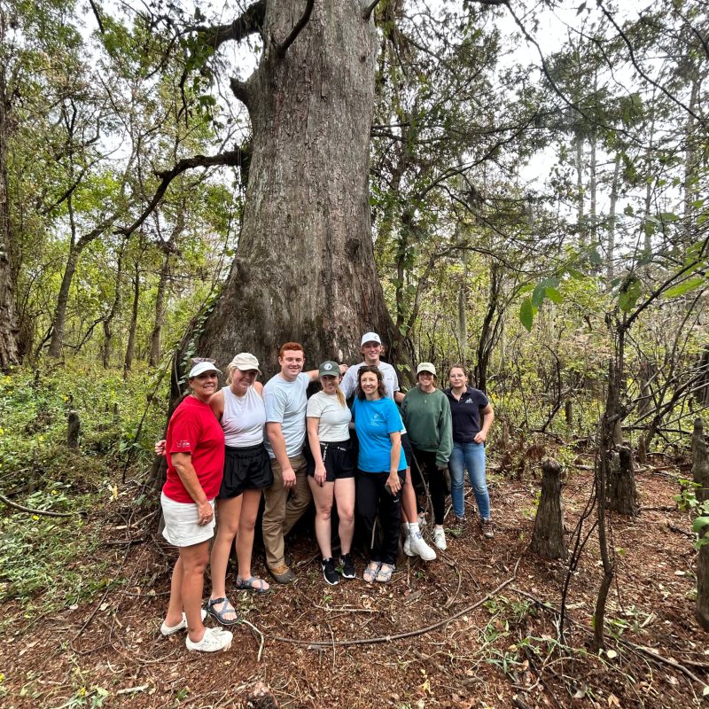 a group of people standing next to a tree