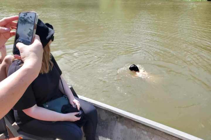 a woman using a cell phone