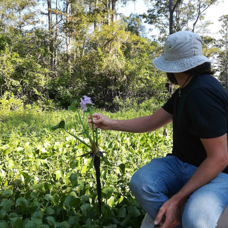 a person in a garden