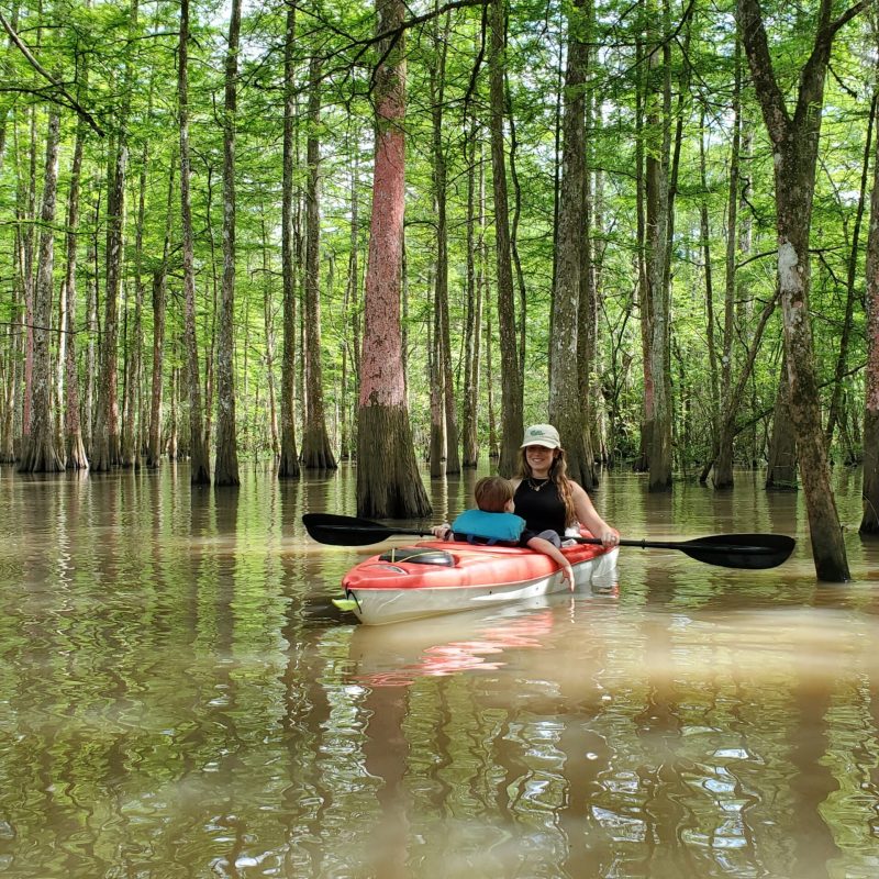 a person riding on the back of a boat next to a forest