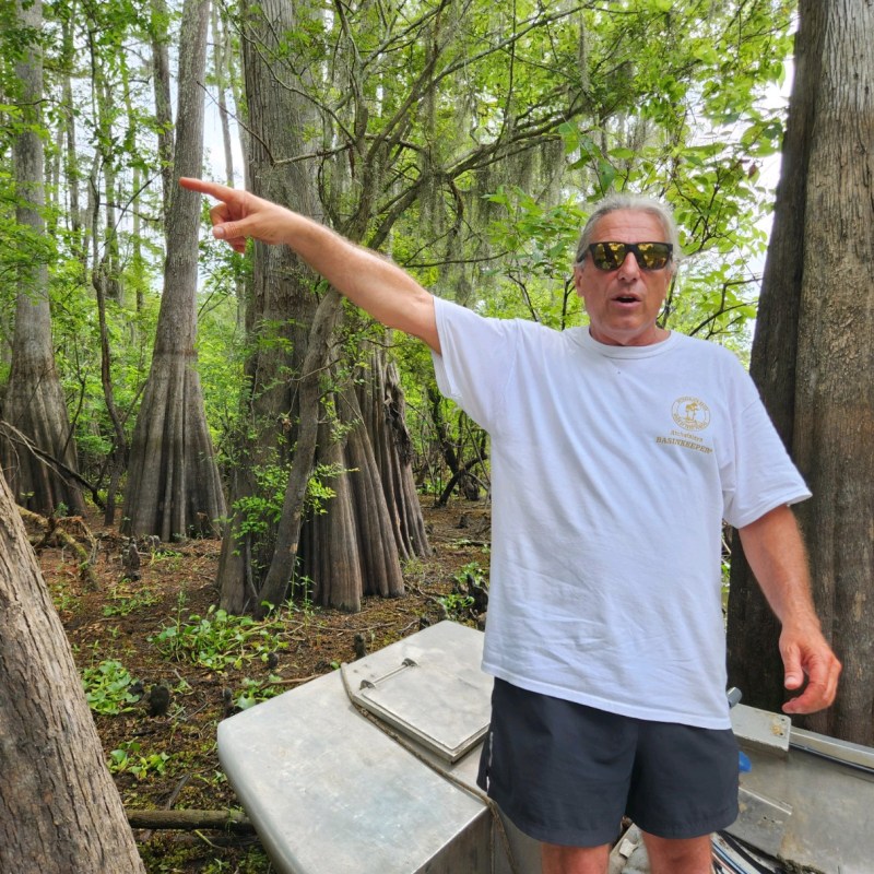 a man standing next to a tree