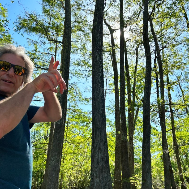 a person holding a frisbee in a forest