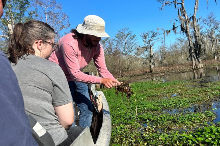 a person holding a fish