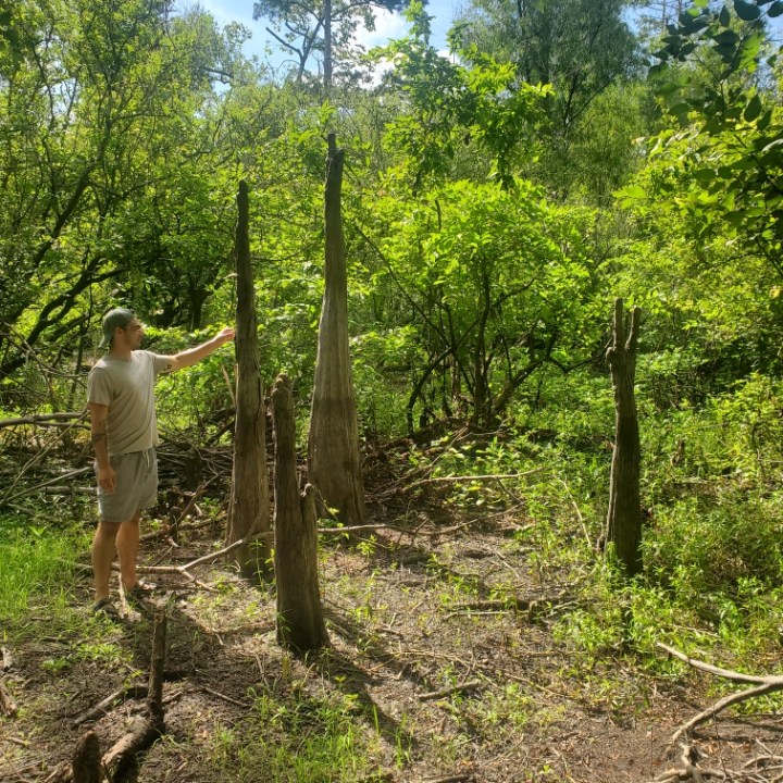 a person standing next to a tree