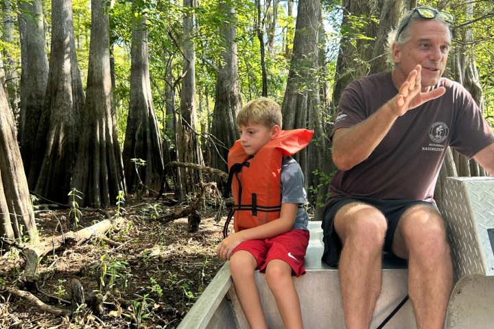 a person sitting on a bench next to a tree