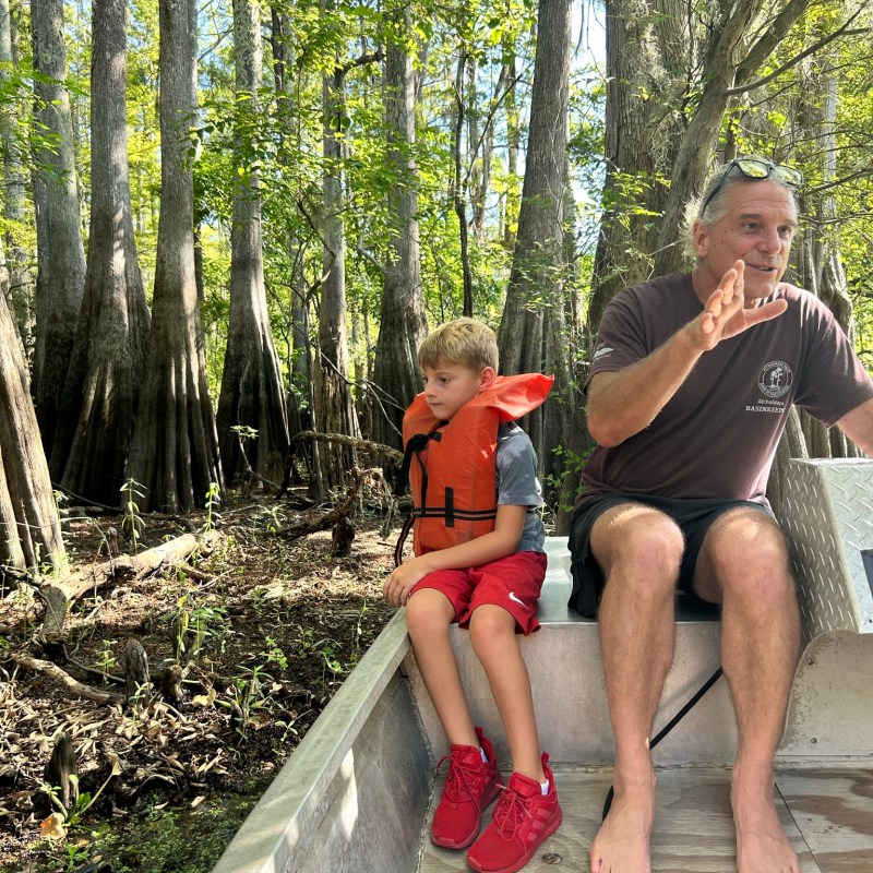 a person sitting on a bench next to a tree