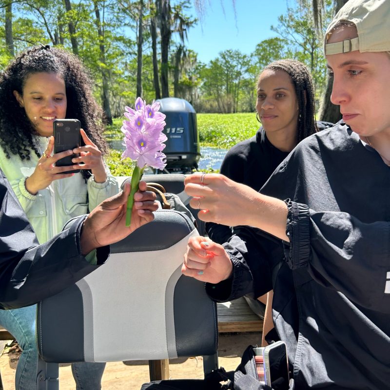 a group of people holding wine glasses
