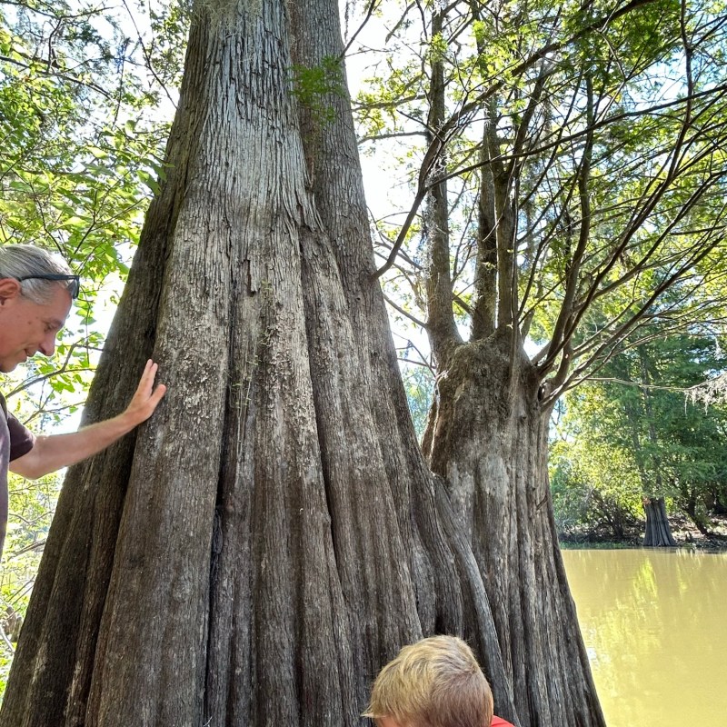 a man standing next to a tree