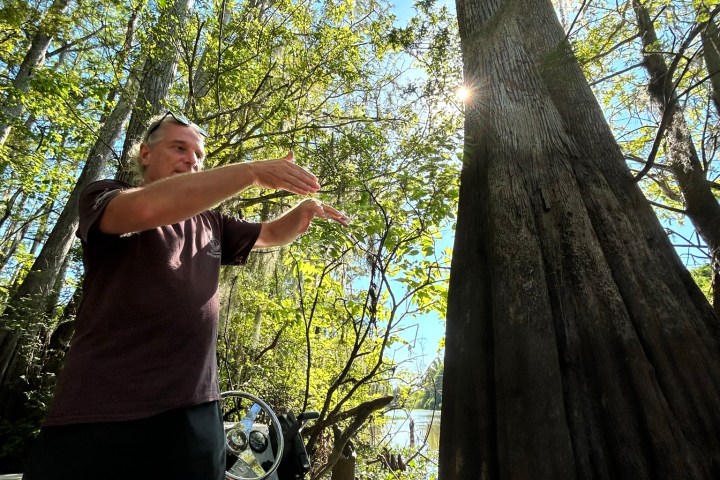 a man standing next to a tree