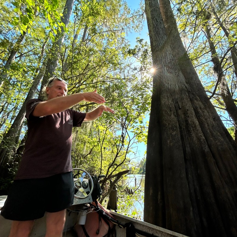 a man standing next to a tree